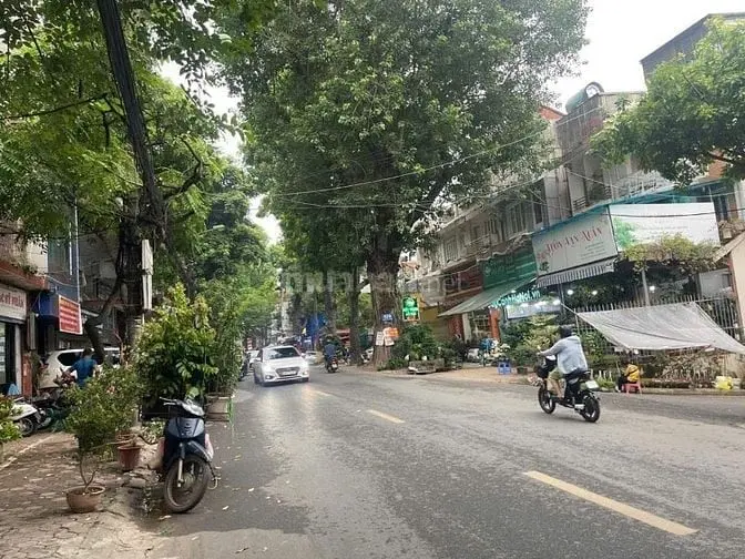 6036770 ảnh đại diện 1