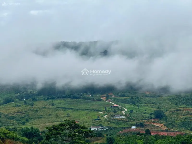 Đất Ven Đà Lạt Giá Chỉ 620 Triệu, Shr, View Đồi Thông Mát Mẻ