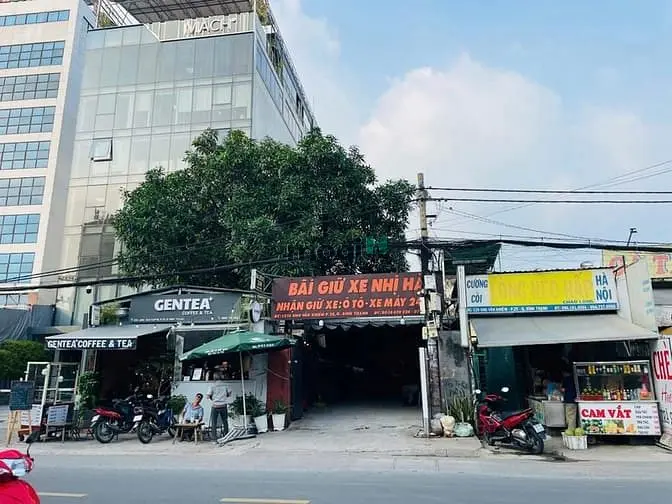 6036536 ảnh đại diện 1
