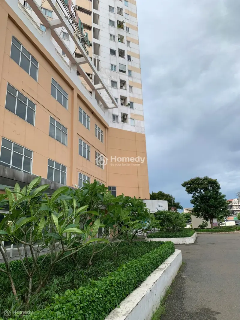 6036736 ảnh đại diện 1