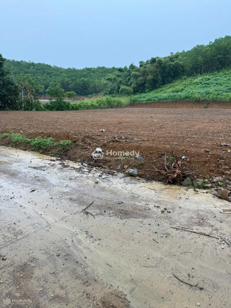 6036772 ảnh đại diện 1