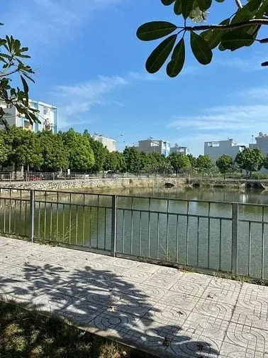 6036780 ảnh đại diện 1