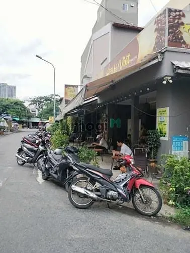 6036771 ảnh đại diện 1