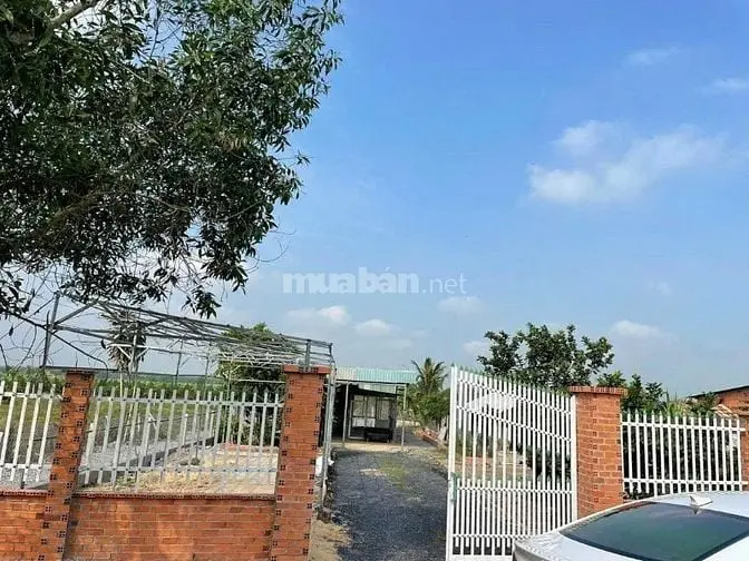 Chủ Cần Bán Nhà 736M2 Pháp Lý Đầy Đủ Sổ Hồng Sang Tên Ngay