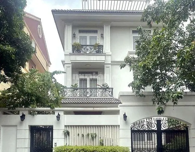 6036752 ảnh đại diện 1