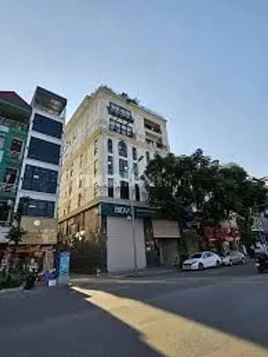 6036874 ảnh đại diện 1