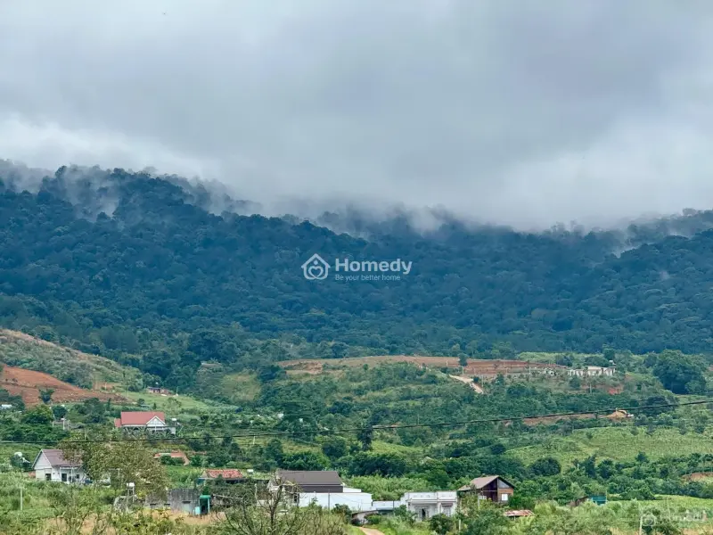 Đất Ven Đà Lạt Giá Chỉ 620 Triệu, Shr, View Đồi Thông Mát Mẻ