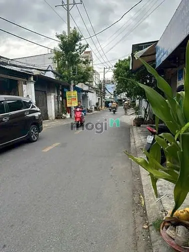 6037311 ảnh đại diện 1