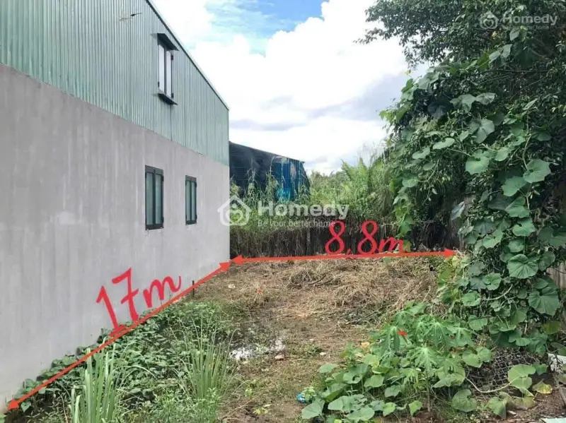 6037032 ảnh đại diện 1