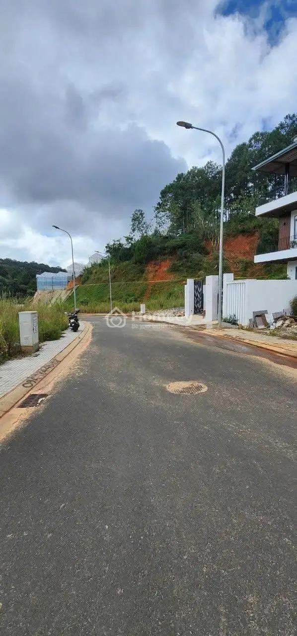 6037250 ảnh đại diện 1