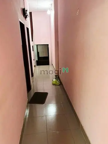 6037247 ảnh đại diện 1