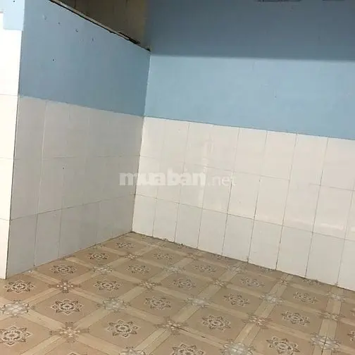 6037321 ảnh đại diện 1