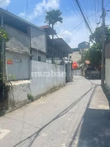 6037212 ảnh đại diện 1