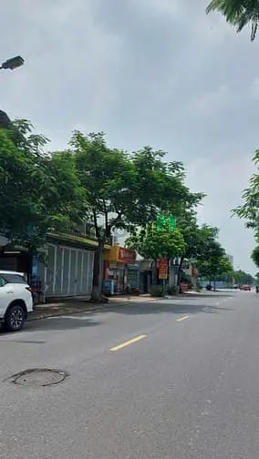 6037100 ảnh đại diện 1