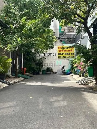 6037015 ảnh đại diện 1