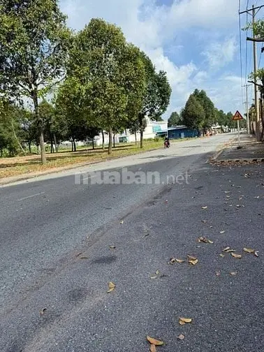 Đất Sổ Sẵn, Xây Dựng Tư Do, Ngay Trung Tâm Bàu Bàng