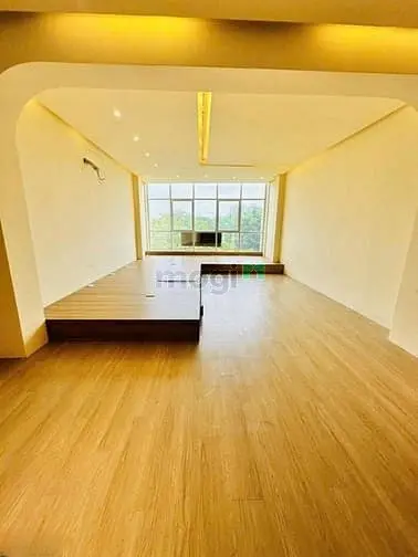 6037017 ảnh đại diện 1