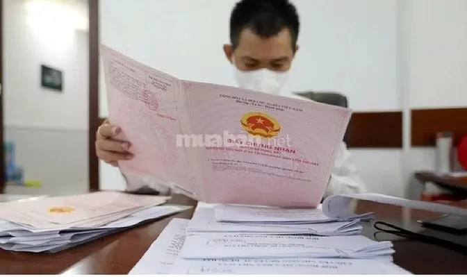 6037461 ảnh đại diện 1