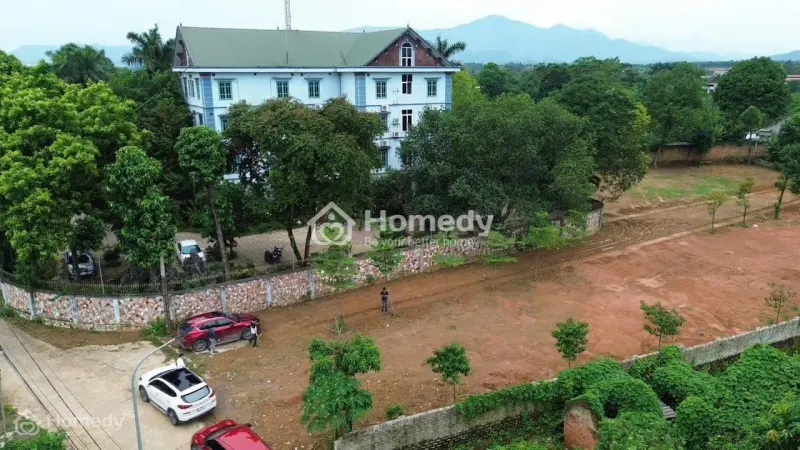 6037249 ảnh đại diện 1