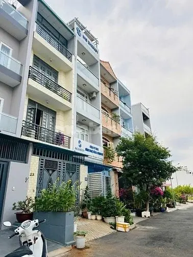 6037261 ảnh đại diện 1