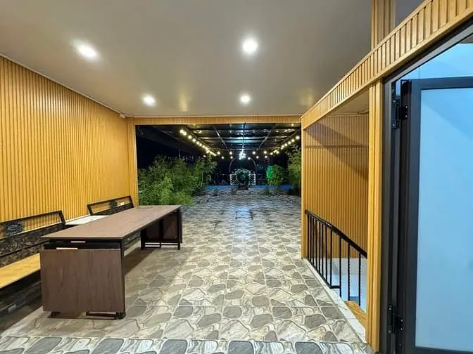 6037339 ảnh đại diện 1