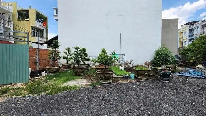 6037431 ảnh đại diện 1