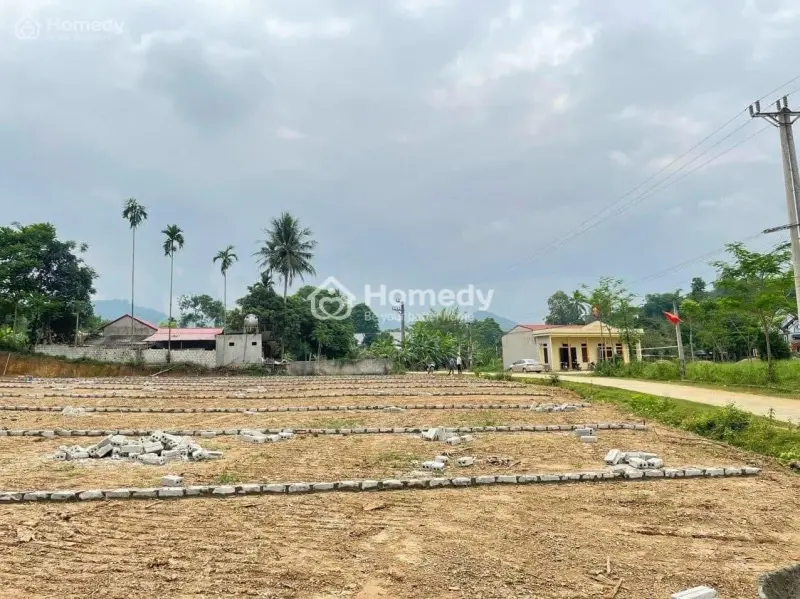 6037386 ảnh đại diện 1