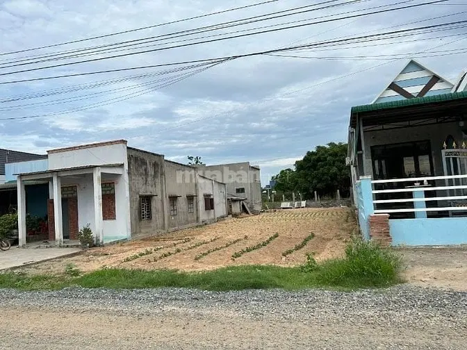 6037106 ảnh đại diện 1