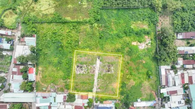 6037257 ảnh đại diện 1