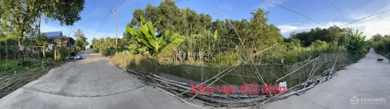 6037447 ảnh đại diện 1