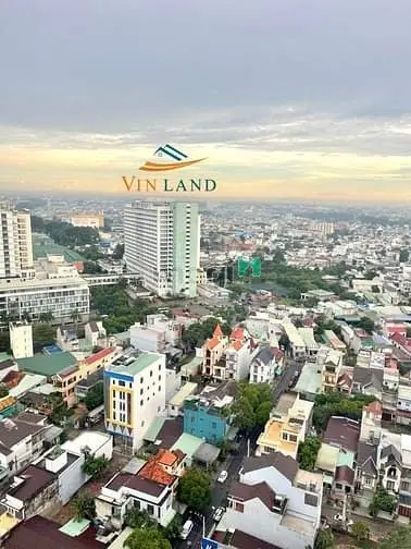 6037031 ảnh đại diện 1