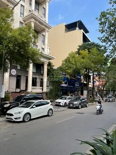 6037491 ảnh đại diện 1