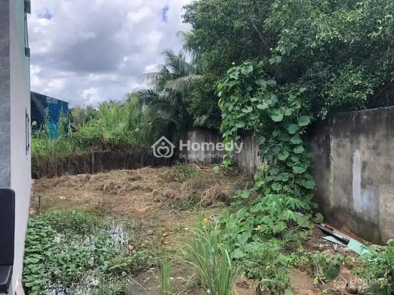 Bán Nền Thổ Giá Rẻ Tại Ấp 1, Nhựt Chánh, Bến Lức, Long An