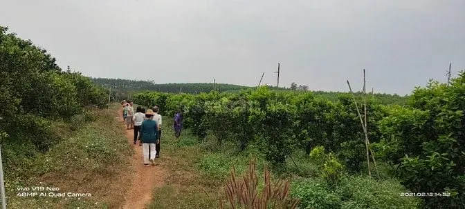 Bán 7 Ha, Đất Đang Trồng Cam, Bưởi, Gần Thủy Điện Trị An - Đồng Nai