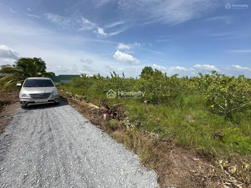 Bán Lô Đất 11X68M (600M² Vườn + 150M² Thổ) - Xe Hơi, Cách Dt816 300M