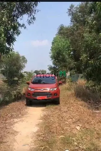 6037457 ảnh đại diện 1