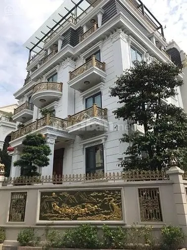 6037213 ảnh đại diện 1