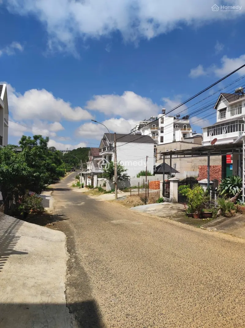 6037253 ảnh đại diện 1