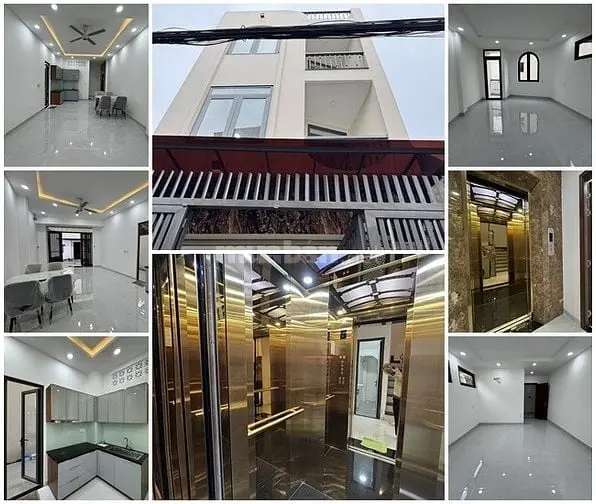 6037446 ảnh đại diện 1