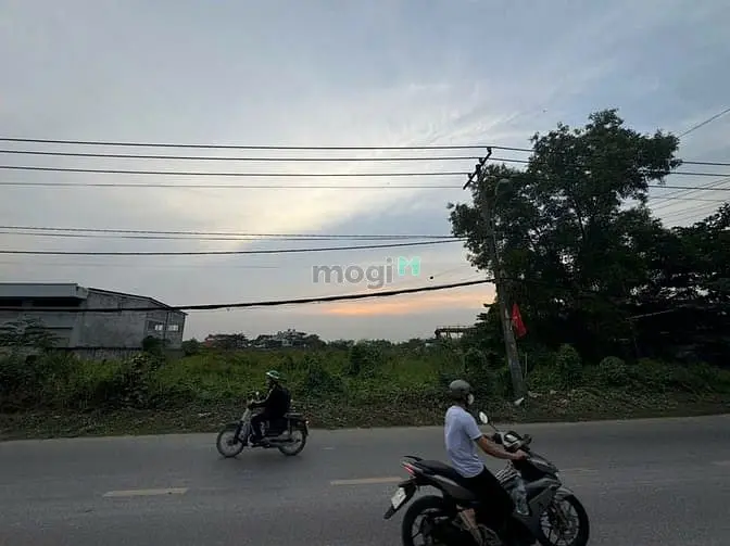 Bán Nhà Cấp 4 Mt Đường Nguyễn Duy Trinh, Thủ Đức - Dt: 50X60M Full Thổ