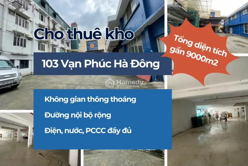 6037388 ảnh đại diện 1