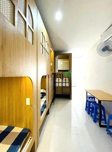 6037291 ảnh đại diện 1