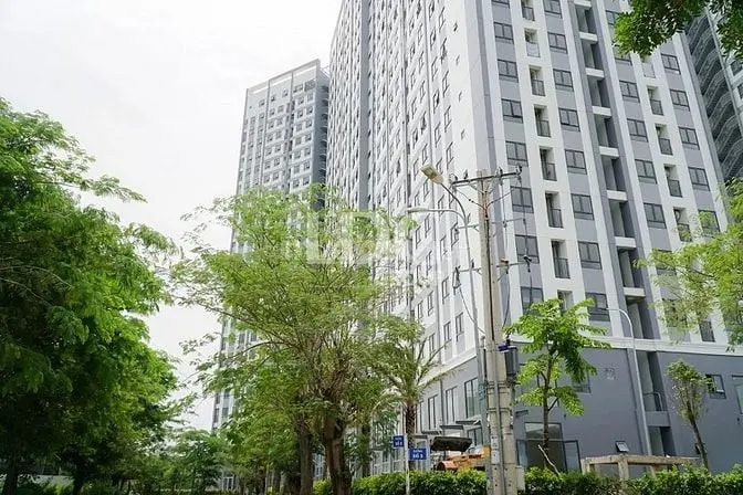 6037146 ảnh đại diện 1