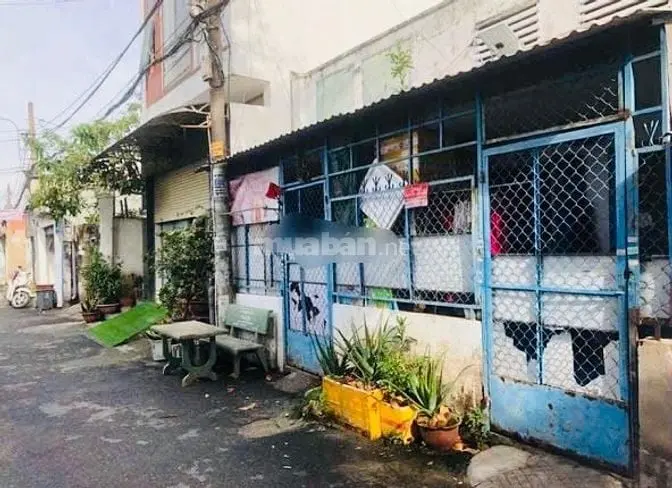 6037071 ảnh đại diện 1