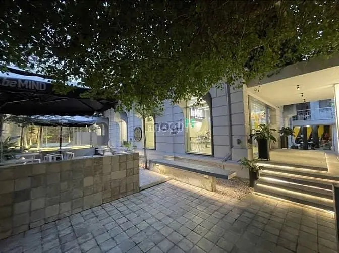 6037465 ảnh đại diện 1