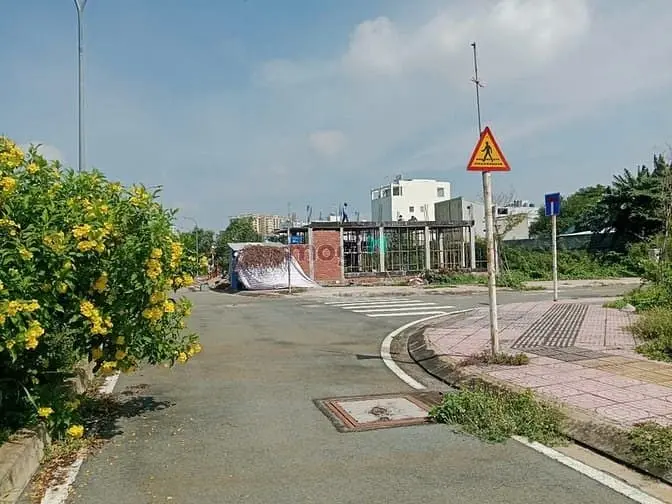 6037024 ảnh đại diện 1