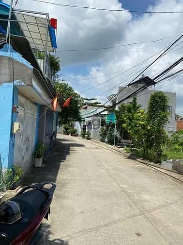 6037449 ảnh đại diện 1
