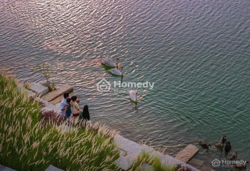 Cần Sang Gấp Lô Đất Khu Tái Định Cư, Gần Eco Retreat, Bến Lức, Giá 1 Tỷ 2/Lô, Sổ Riêng