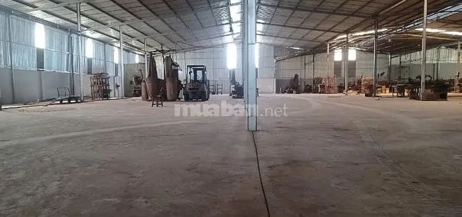 6037392 ảnh đại diện 1