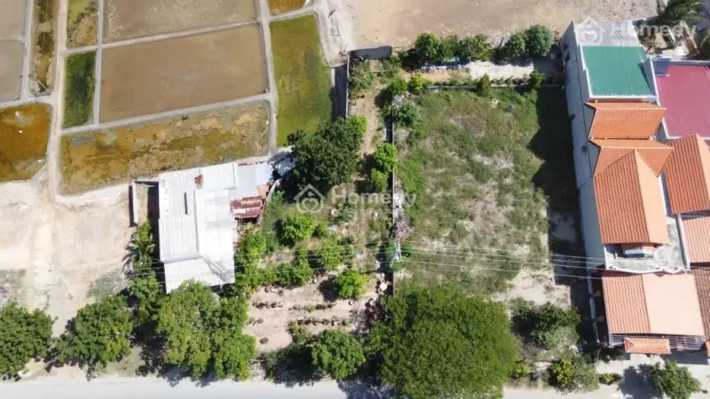 6037416 ảnh đại diện 1